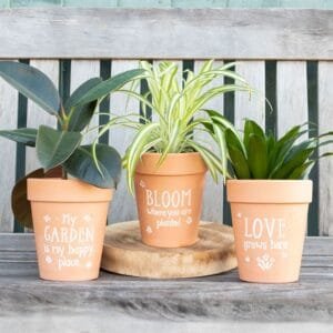 Bloom Where You Are Planted Terracotta Plant Pot - Image 3