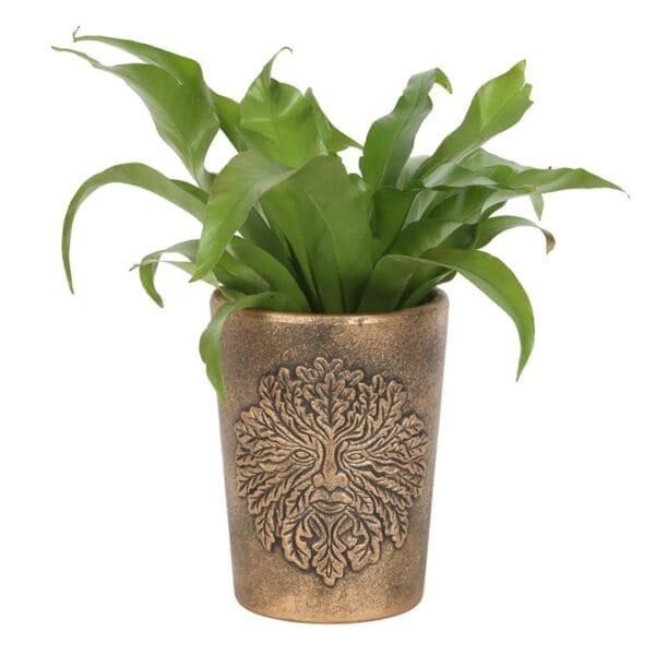 Green Man Bronze Terracotta Plant