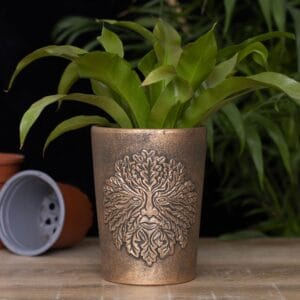 Green Man Bronze Terracotta Plant - Image 4