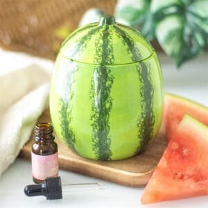 Watermelon Oil Burner and Wax Warmer - Image 2