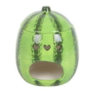 Watermelon Oil Burner and Wax Warmer - Image 3