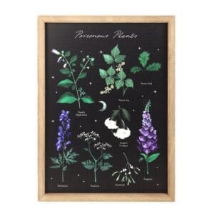 Poisonous Plants Framed Wall Art Print - Image 2