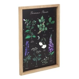 Poisonous Plants Framed Wall Art Print - Image 3