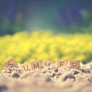 Summer Collection- Luxe Chelsea Living