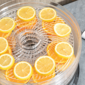 5-Tier Stainless Steel Food Dehydrator 220W | Adjustable Temp | HOMCOM Silver - Image 7