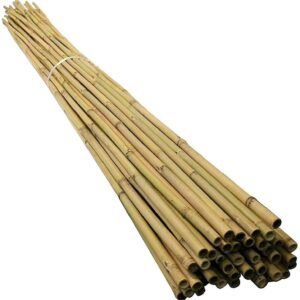 6FT Bamboo Canes