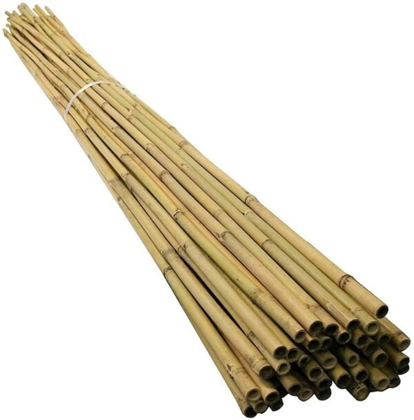 6FT Bamboo Canes