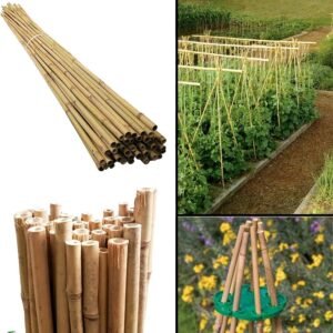 20 x 6FT Bamboo Canes | Luxe Chelsea Living Garden Essentials - Image 2