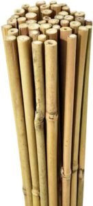 20 x 6FT Bamboo Canes | Luxe Chelsea Living Garden Essentials - Image 4