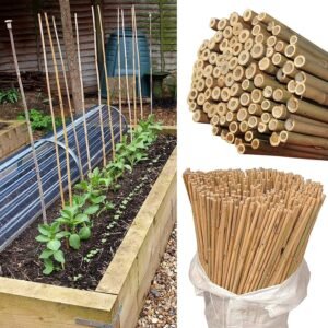 20 x 6FT Bamboo Canes | Luxe Chelsea Living Garden Essentials - Image 5