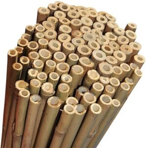 20 x 6FT Bamboo Canes | Luxe Chelsea Living Garden Essentials - Image 6