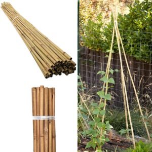 20 x 6FT Bamboo Canes | Luxe Chelsea Living Garden Essentials - Image 8